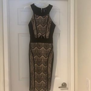 Black and cream lace body con midi dress